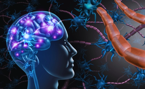 สมองเพาะจากห้องแล็บ ความหวัง หรือ อันตราย ?