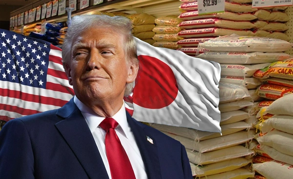 "สหรัฐฯ" จี้"ญี่ปุ่น"เพิ่มซื้อข้าวฉุดเจรจาไม่คืบ 