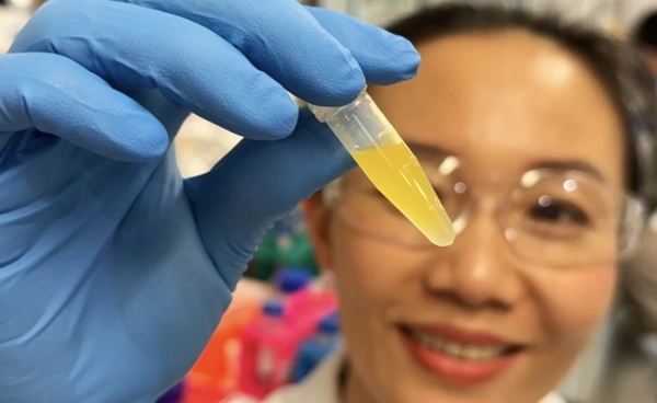 ยาหยอดตานาโนคิวโบโซมที่สกัดจาก "ผลฟักข้าว" ทางเลือกใหม่รักษาจอประสาทตาเสื่อมโดยไม่ต้องฉีดยา