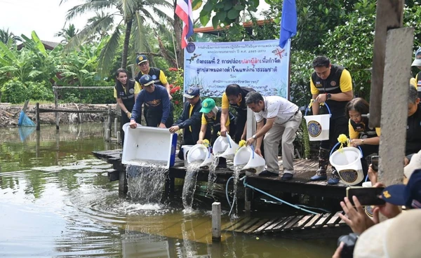 แก้ปัญหาปลาหมอคางดำ ปล่อยปลาผู้ล่า 19 จังหวัด กว่า 9.7 แสนตัว