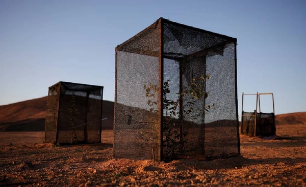 ปลูกพืชด้วย “หมอก” พลิกทะเลทรายที่แล้งที่สุดในโลก ให้กลายเป็นพื้นที่เพาะปลูกได้!