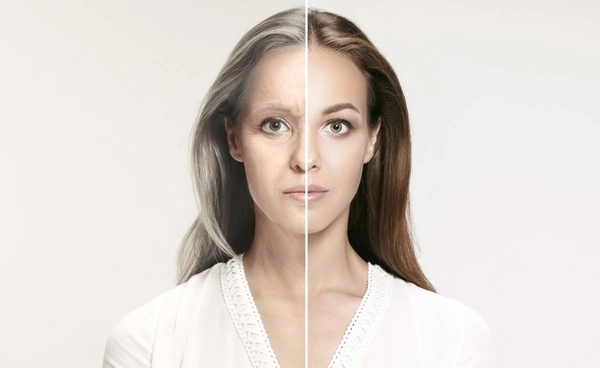 นักวิจัยพบ "กลุ่มโปรตีน" ที่ช่วยต้านมะเร็ง ชะลอวัย