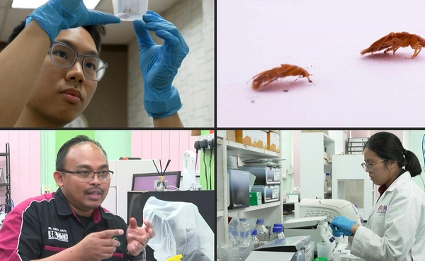 วิจัยพบ “ตัวเรือดเขตร้อน” เก็บ “ดีเอ็นเอ” เหยื่อได้นาน 45 วัน พลิกโฉมงานสืบสวน