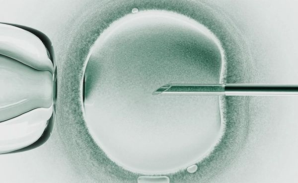 เด็กหลอดแก้วจาก DNA 3 คน ในสหราชอาณาจักร ความหวังใหม่ด้านเทคโนโลยีชีวภาพ