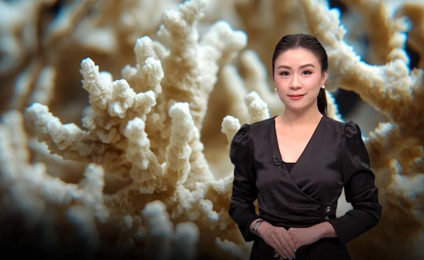 โลกร้อนเกินเยียวยา แนวปะการังน้ำอุ่นทั่งโลกพังทลาย