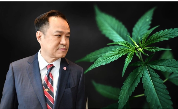 อนาคต “ธุรกิจกัญชา” ในมือรัฐบาลอนุทิน 