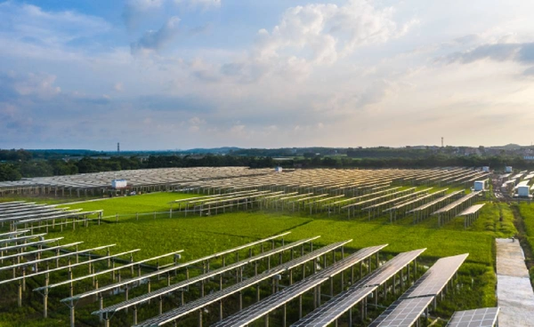 โลกใกล้ถึงจุดเปลี่ยน! พลังงานสะอาดครองอนาคต UN ชี้พลังงานฟอสซิลเริ่มไร้ที่ยืน