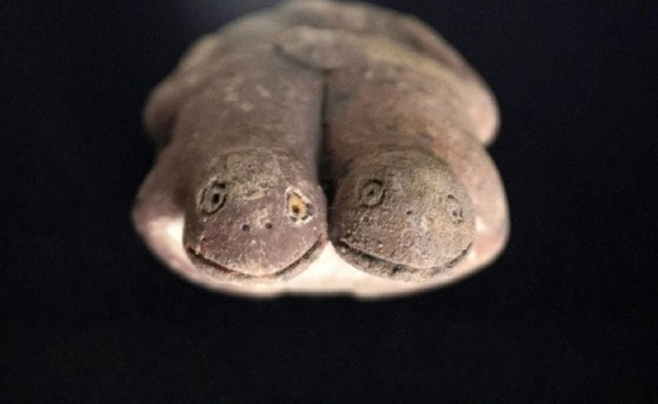 คางคกโบราณเปรู หลักฐานอารยธรรมที่ล่มสลาย จากวิกฤตสภาพภูมิอากาศ