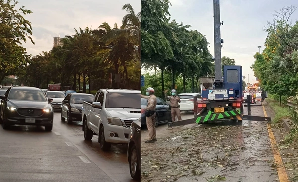 พายุฝนถล่มกรุงเทพฯ! ต้นไม้ล้มขวางถนน บ้านพัง-ไฟดับหลายจุด