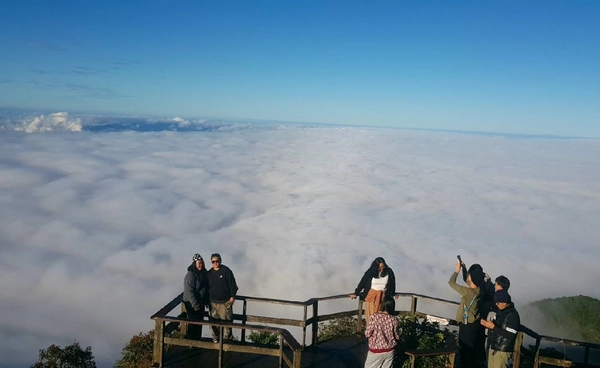 เช้านี้ดอยอินทนนท์ อุณหภูมิ 7 องศาฯ นทท.แห่สัมผัสลมหนาว-ทะเลหมอก