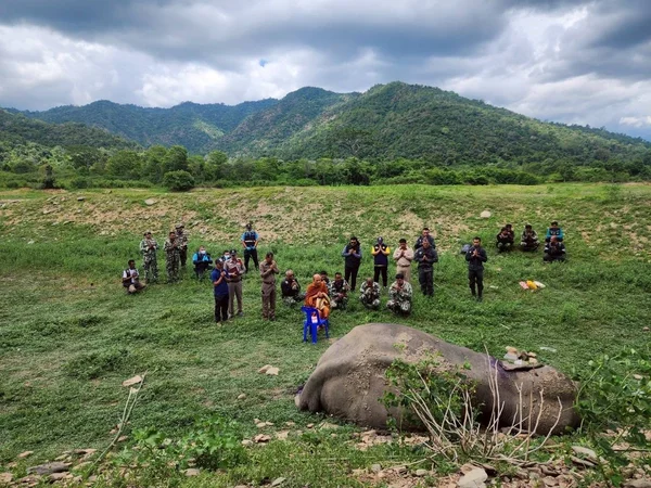 สุดยื้อชีวิต! ช้างป่ากุยบุรีล้มแล้ว ทนเจ็บขาไม่ไหว พบรอยกระสุนหลายจุดทั่วตัว