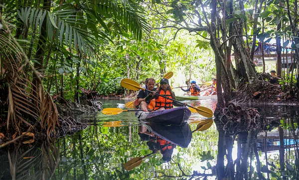 ตามรอย “Jurassic World” พายคายัคชมธรรมชาติที่ “คลองหรูด” จ.กระบี่
