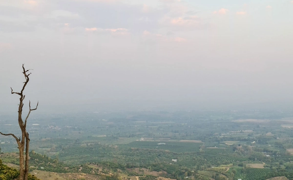 ย้อนข้อมูลดูสถานการณ์ปี 2567 พื้นที่ไหนต้องจมอยู่กับฝุ่น PM 2.5 นานที่สุด? 