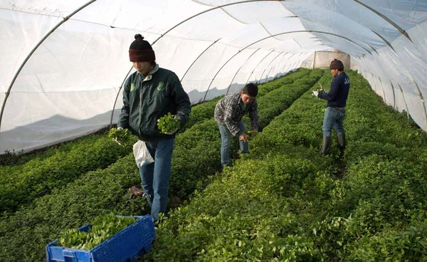  แรงงานไทยในอิหร่านยังปลอดภัย พร้อมยกระดับหากสถานการณ์ตึงเครียด