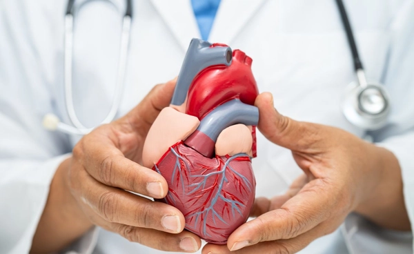 แพทย์เผยกลุ่ม Gen Y เสี่ยงโรคหัวใจมากขึ้นอย่างน่ากังวล วัย 30-40 ปี ต้องระวัง