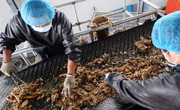 ส่องจีนรับมือโลกร้อน ปฏิวัติระบบอาหาร เปลี่ยนวิกฤตเป็นโอกาสอย่างยั่งยืน