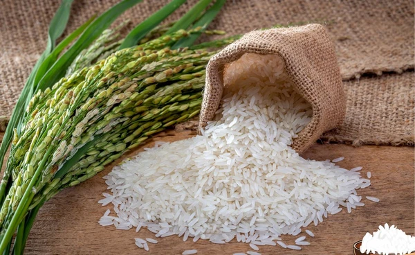 ดัน “ข้าวไทย” ส่งออกไป “จีน” สู้ส่งออกปีนี้ทรุดหนัก