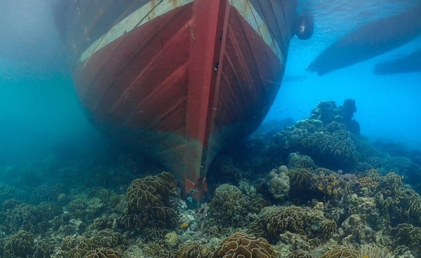 เรือสินค้าเมียนมา เกยตื้น "ปะการังสีน้ำเงิน" เสียหายหนัก
