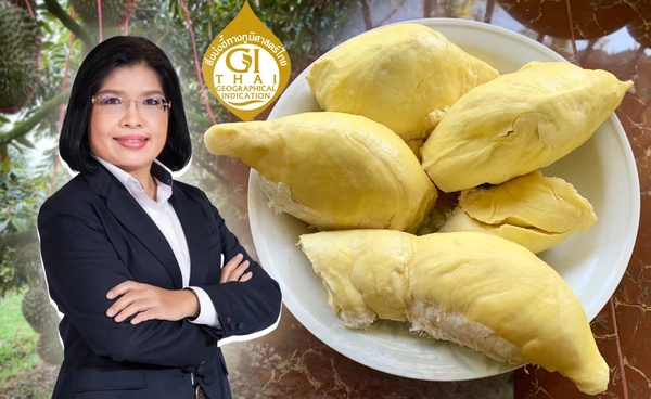 "ทุเรียนชุมพร" ขึ้นแท่น GI น้องใหม่ 