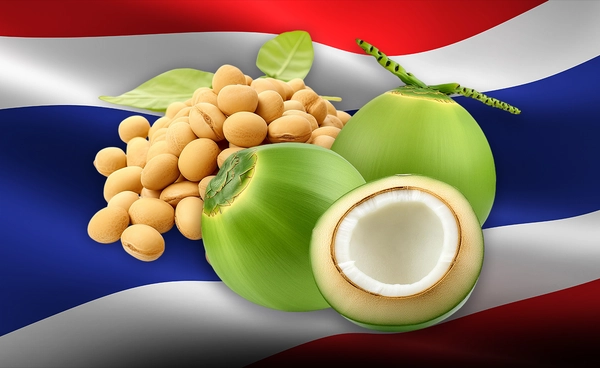 บอร์ดพืชน้ำมันฯ ไฟเขียวไทยเปิดตลาด "ถั่วเหลือง-มะพร้าว" รักษาสมดุลผลผลิตในประเทศ ยึดประโยชน์เกษตรกร