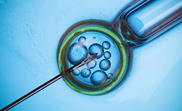 ตัวอ่อนแช่แข็งนานกว่า 30 ปี ลืมตาดูโลกเป็นเรียบร้อยแล้ว