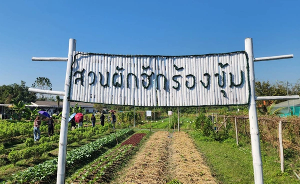 ปั้นผักพื้นบ้านสู่พรีเมียม เชื่อมสวน–เชฟ–เมืองเชียงใหม่