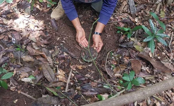 กองทัพบกเผยฝ่ายไทยเสนอ 13 พื้นที่ กัมพูชาร่วมเก็บกู้ทุ่นระเบิด 