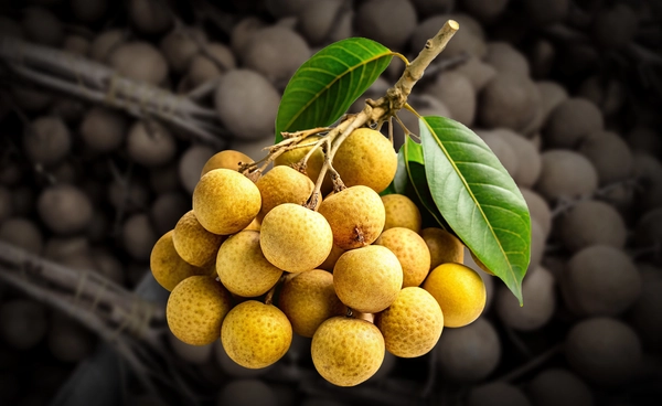 ลำไยล้นตลาด "พาณิชย์" เร่งช่วยเกษตรกร  ออก 8 มาตรการ กระจายผลผลิต - ส่งออก - แปรรูป