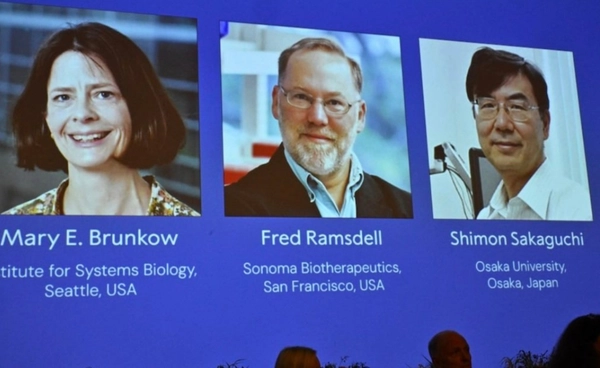 โนเบลสาขาการแพทย์2025 เป็นของการศึกษา ความทนทานต่อภูมิคุ้มกันส่วนปลาย