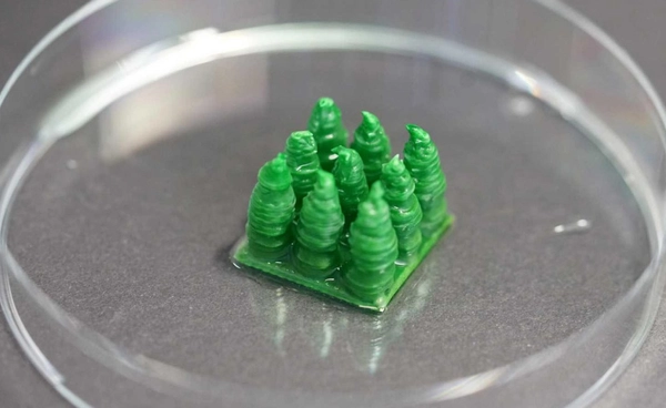 วัสดุใหม่จากสวิส ฝังแบคทีเรียในไฮโดรเจล ดูด CO2 ได้ดีกว่าต้นไม้