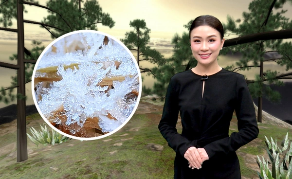 ลมหนาวธ.ค. แรงต่อเนื่อง เตรียมลุ้นน้ำค้างแข็งบนยอดดอย