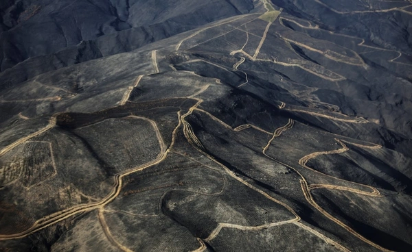 ไฟป่าไอบีเรียมอดแล้ว แต่ปัญหายังไม่จบ แหล่งน้ำปนเปื้อนทำระบบนิเวศพัง