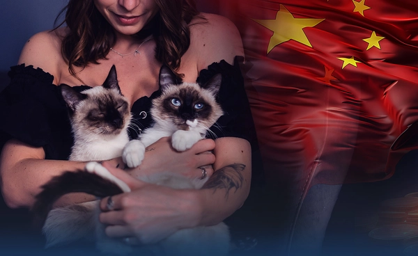 "ส่องเศรษฐกิจแมว" ตลาดจีนโตแรงแซงน้องหมา