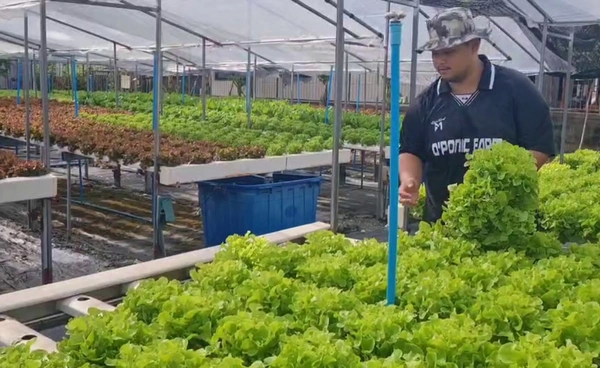 "หนุ่มโคราช"ทิ้งเงินเดือนลุยทำฟาร์มผักสลัด โกยเงินแสนต่อเดือน | เรื่องดีดีทั่วไทย | 28-08-68