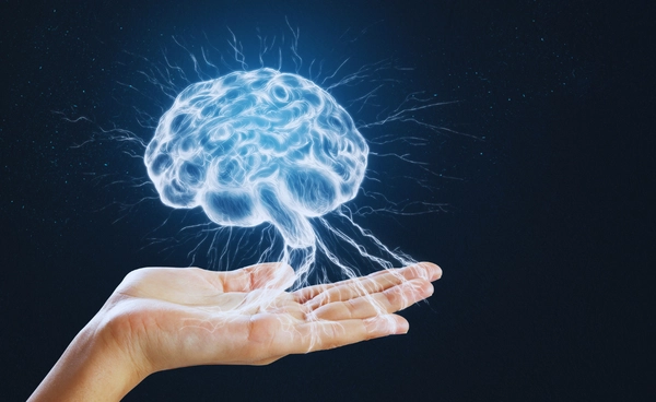 รู้หรือไม่? สมองต้องกินตัวเองทุกวัน เพื่อให้ความคิดเราเฉียบคมขึ้น