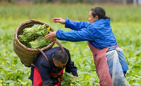เมื่อจีนใช้มังกรน้อย พลิกฟื้นชนบท (ตอน 3) โดย ดร.ไพจิตร วิบูลย์ธนสาร 