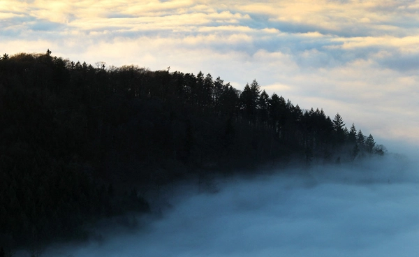 กรมอุตุฯ เตือนไทยตอนบนหนาวเย็น ภาคใต้ฝนตกหนักถึงหนักมาก กทม. อุณหภูมิลด