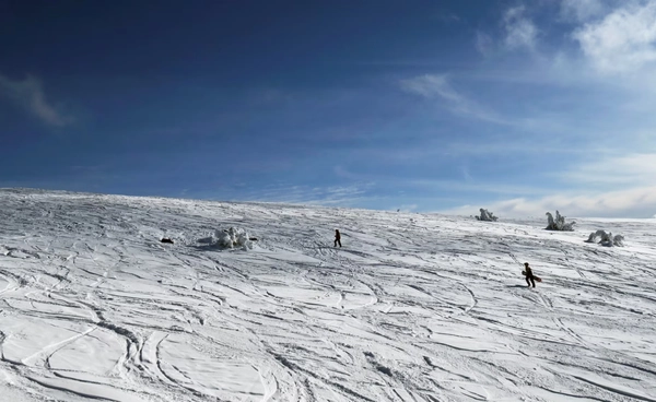 เทือกเขาแอลป์ละลายหนัก ธารน้ำแข็งออสเตรียหดตัว  คาดอาจสูญสิ้นใน 50 ปี