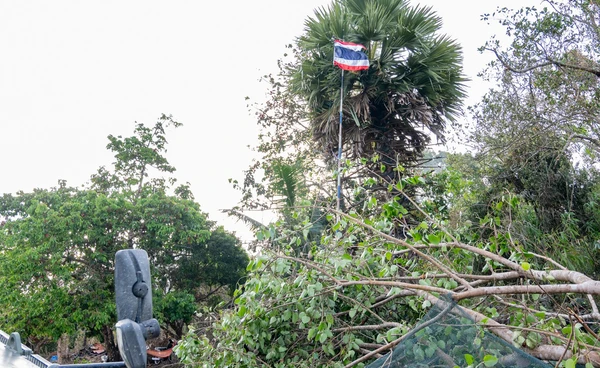 นาวิกโยธินยึดคืนบ้านสามหลัง ตราด ปักธงชาติยืนยันอธิปไตยไทย