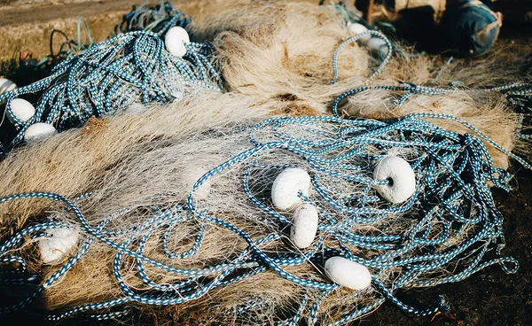 AI ตาทิพย์ ! “GhostNetZero” แพลตฟอร์มส่องซากอวนจับปลา คืนชีพมหาสมุทร