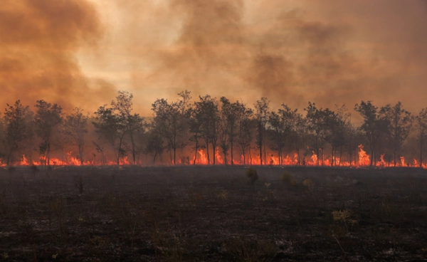 สัญญาณโลกเดือดแรง ก่อนการประชุม COP30 คาดปี 68 อาจร้อนสุดในประวัติการณ์