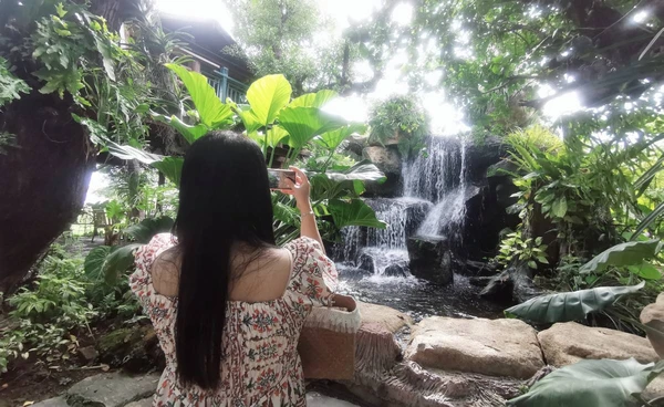 ทำไมคาเฟ่ในสวน ถึงฮีลใจหลายคนได้ แค่นั่งเงียบ ๆ ใต้ต้นไม้ ใจก็เบาลง