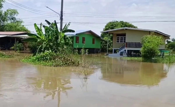 แม่น้ำยมล้นตลิ่ง ท่วม “พิจิตร” 4 อำเภอ นาข้าวจมน้ำแล้ว 222 ไร่