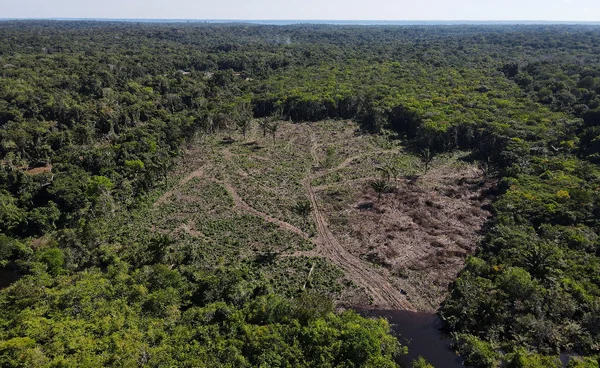 “ป่าแอมะซอน” จากปอดโลกสู่เตาอบ ฝนหาย ดันอุณหภูมิสูงขึ้นทุกปี