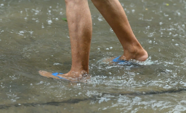 เดินลุยน้ำย่ำโคลน ต้องระวังโรคเมลิออยด์ เสียชีวิตแล้ว 72 ราย