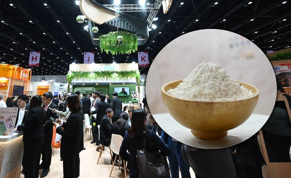 ตลาดแป้งมันดัดแปรขยายสู่ยา–อาหารผู้สูงอายุ ผู้ผลิตไทยเดินหน้า R&D ต่อเนื่อง