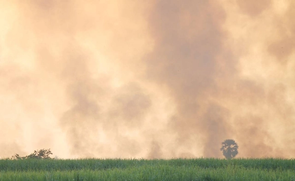 โลกติดกับดักวงจรอุบาทว์  มลพิษ–โลกร้อน  คุกคามอนาคตมนุษยชาติ