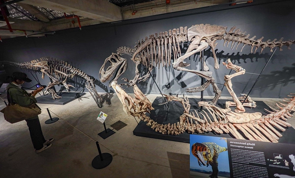 ‘Thainosaur’ เมื่อไดโนเสาร์ไทยกลับมามีชีวิตอีกครั้ง สมจริงทุกรายละเอียด อวดสีสันแท้ที่โลกไม่เคยรู้ 