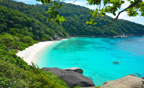 “สิมิลัน” เปิดให้เที่ยวแล้ว นทท.ตื่นตาสวรรค์ดำน้ำเมืองไทย น้ำทะเลใสเหมือนกระจก