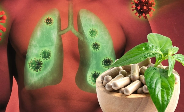 กรมการแพทย์มั่นใจในการใช้ฟ้าทะลายโจรรักษาอาการโรคระบบทางเดินหายใจในผู้ป่วยโควิด 19